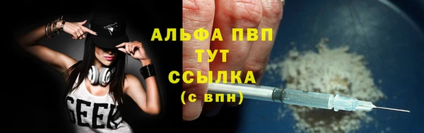 гашик Алексеевка